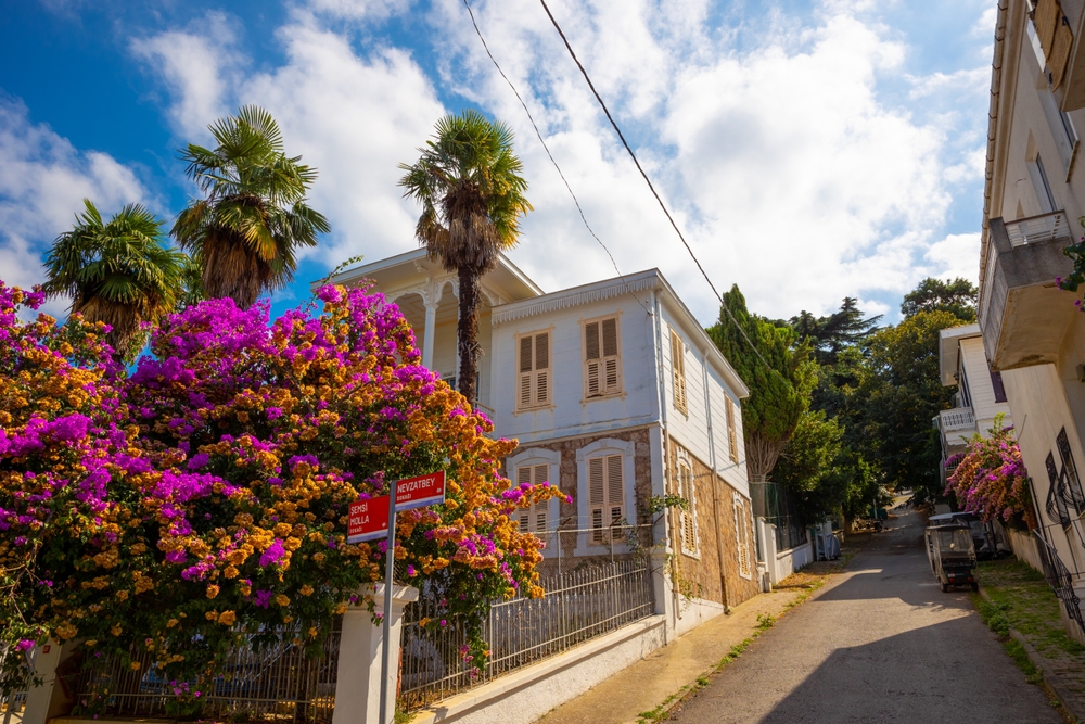 A peaceful street with historic wooden mansions and flowers in Buyukada, Prince Islands
